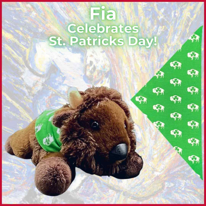 Fia in Irish Cape: A stuffed buffalo toy with an emerald green cape featuring buffalo silhouettes with a shamrock, a unique gift for Buffalo Bills fans.