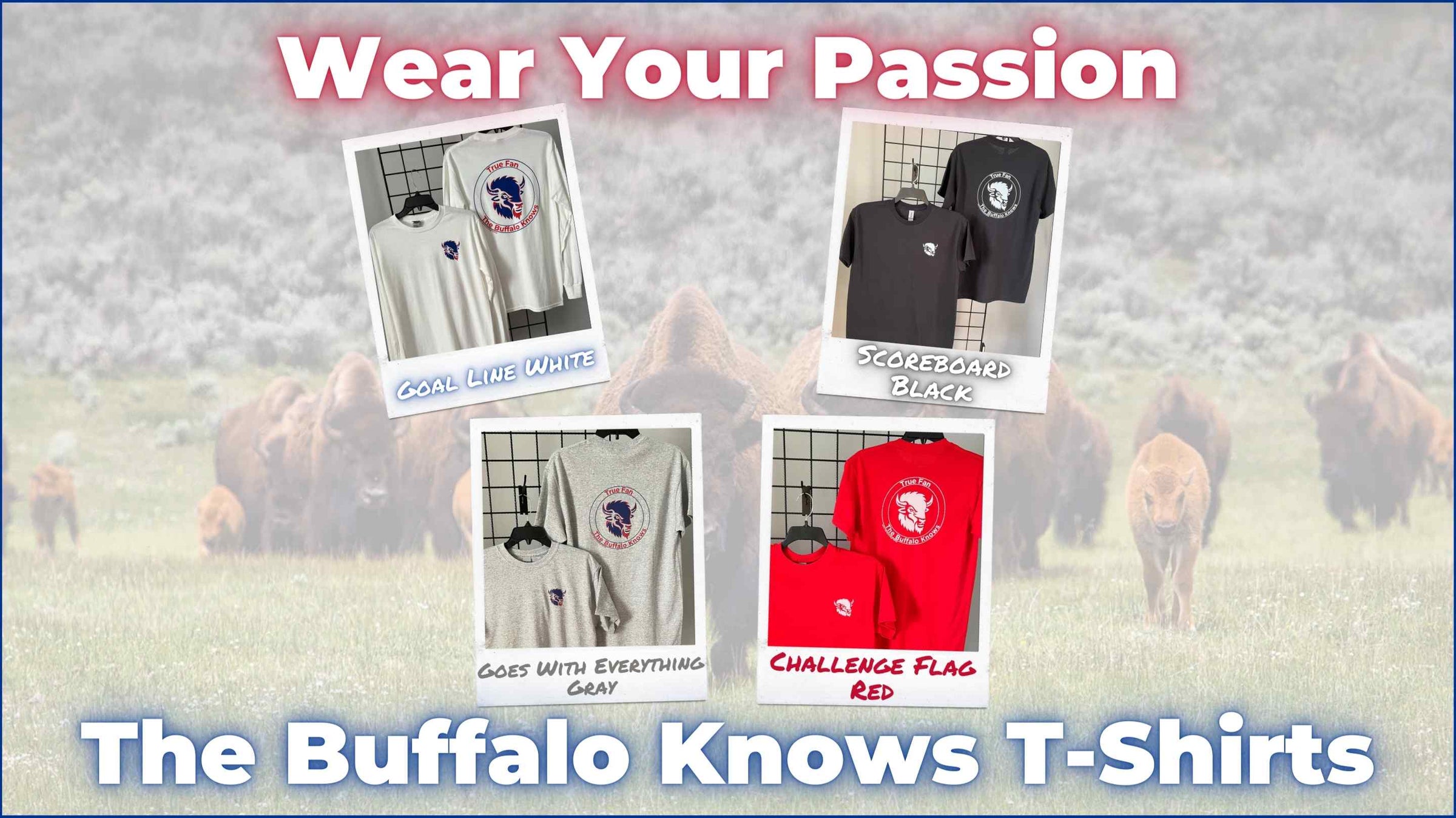 The Buffalo Knows T-Shirts: Unique Buffalo Gifts for Game Day and Every Day