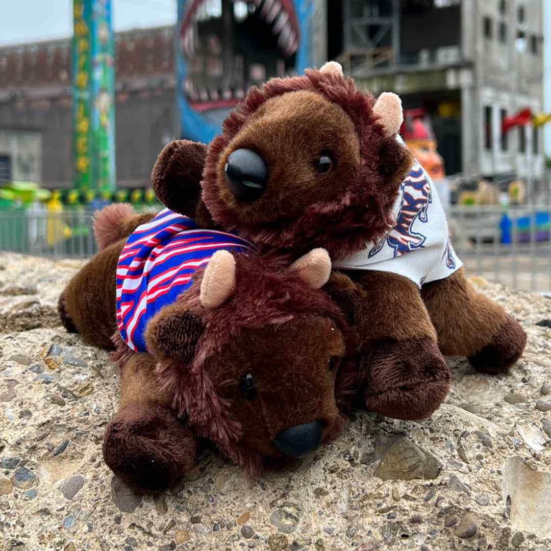 Collection of Mafi & Fia, the adorable buffalo plush toys, perfect for Buffalo Bills fans. Showcasing their unique capes, they symbolize the spirit and passion of the Bills Mafia. Mobile