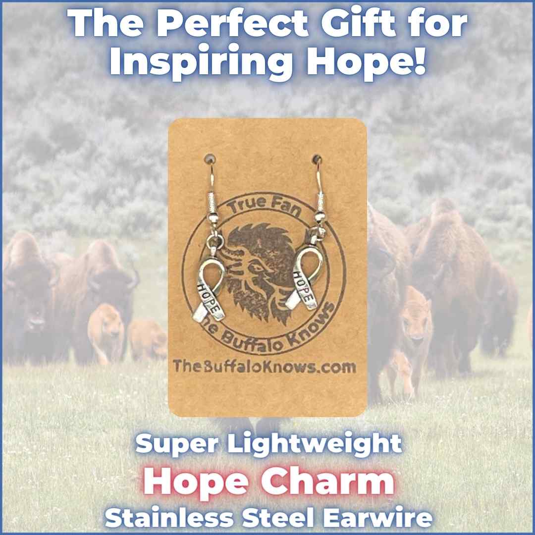 Hope Silver Earrings - Silver ribbon with HOPE engraving on stainless steel ear wire
